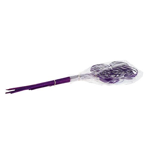Cane Coil Lila 25St.