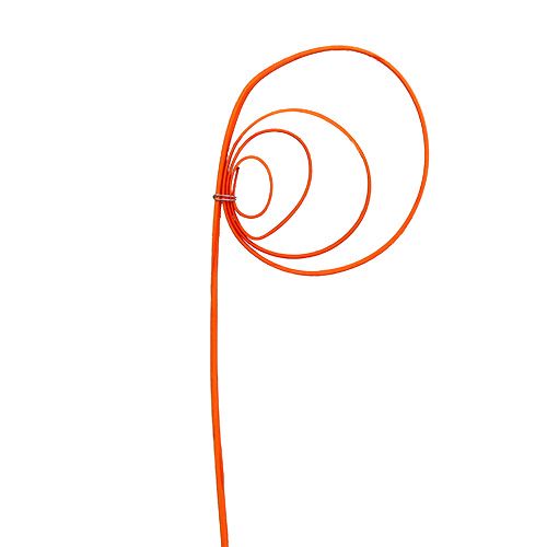 Floristik21 Cane Coil orange 25St.