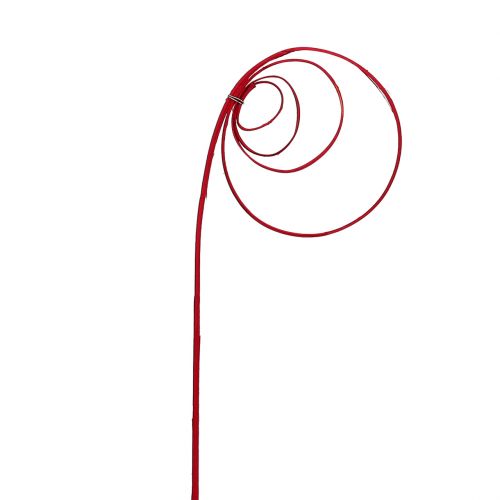 Floristik21 Cane Coil Weinrot 25 St
