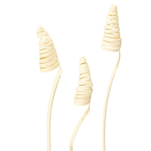 Floristik21 Cane Cone gebleicht 25 St