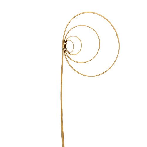 Floristik21 Cane Coil Natur 25St.