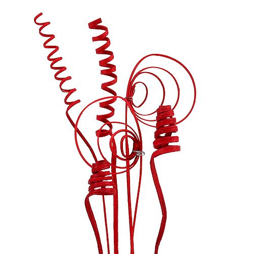Cane Sortiment mini rot 75St