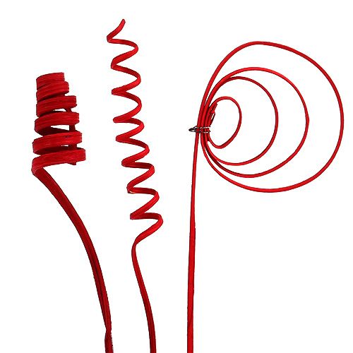 Cane Sortiment mini rot 75St