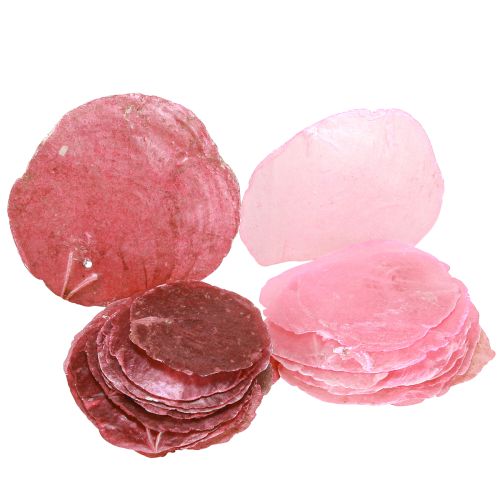 Capiz Muschel Deko Rosa Berry 5-8cm 60 St – Maritim Stil