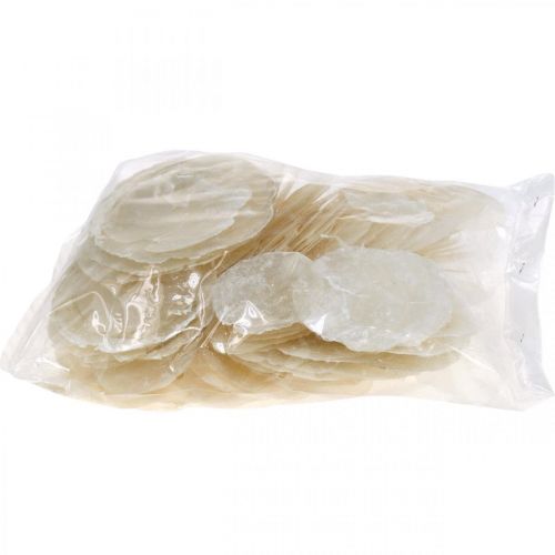 Maritim, Capiz-Muscheln 5–10cm, Perlmutt, Naturartikel 1kg