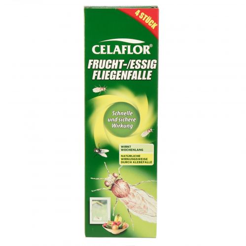 Floristik21 Celaflor Fruchtfliegenfalle Essigfliegenfalle Insektizidfrei 4St