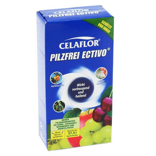 Floristik21 Celaflor Pilzfrei Ectivo 250 ml