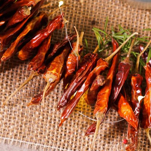 Floristik21 Chilis rot kurz Chili 250g