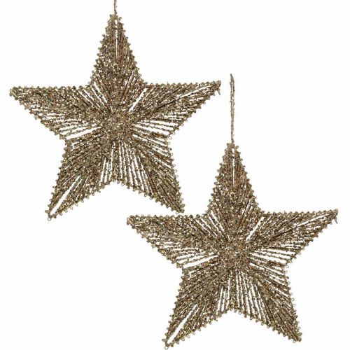 Floristik21 Christbaumschmuck, Adventsdeko, Stern-Anhänger Golden B25,5cm 4St