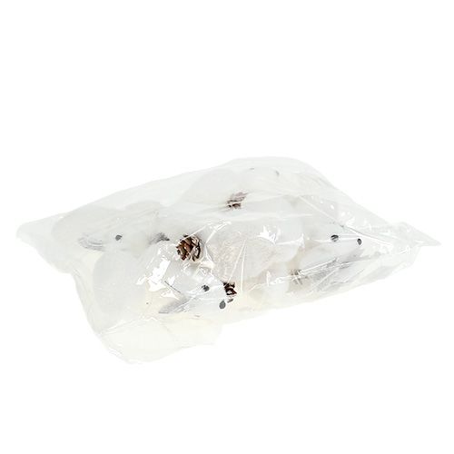 Floristik21 Christbaumschmuck Eichhörnchen weiß 7cm 6St