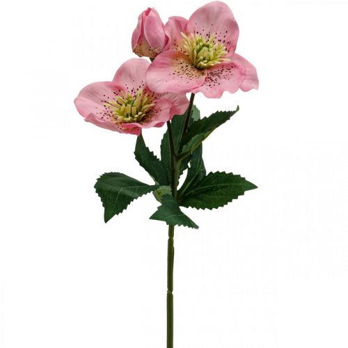 Floristik21 Christrose, Lenzrose, Nieswurz, Kunstpflanzen Rosa L34cm 4St