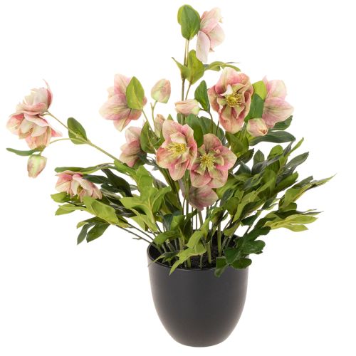 Helleborus künstliche Topfpflanze 50cm rosa-grün für Dekoration