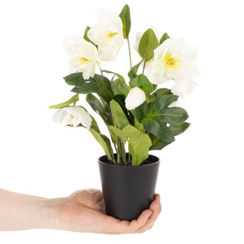 Christrose künstlich Topfpflanze 34 cm Weiß Kunststoff | Floristik21.de