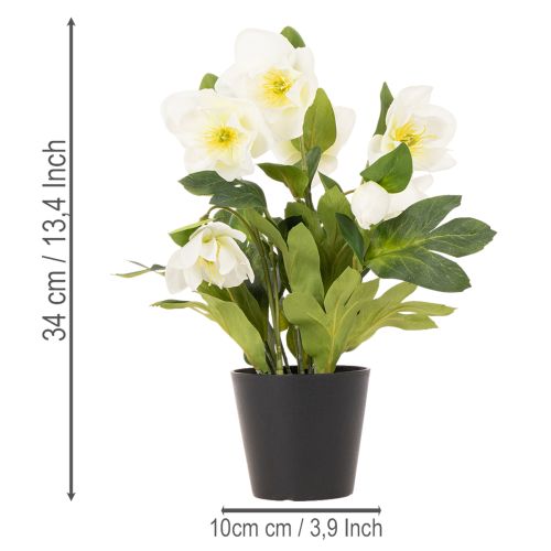 Christrose künstlich Topfpflanze 34 cm Weiß Kunststoff | Floristik21.de