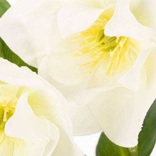 Christrose künstlich Topfpflanze 34 cm Weiß Kunststoff | Floristik21.de