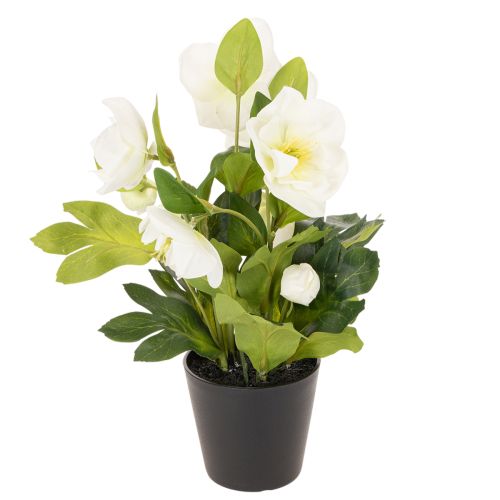 Christrose künstlich Topfpflanze 34 cm Weiß Kunststoff | Floristik21.de