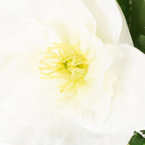 Kunstblume Christrose Bund 36cm Weiß Kunststoff Innenbereich | Floristik21.de