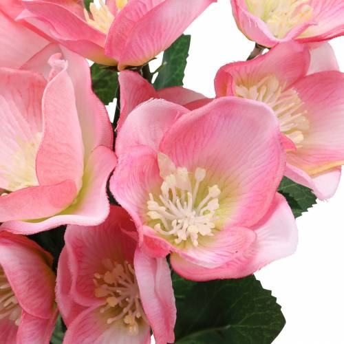 Blumenstrauß Christrosen Rosa 29cm 4St
