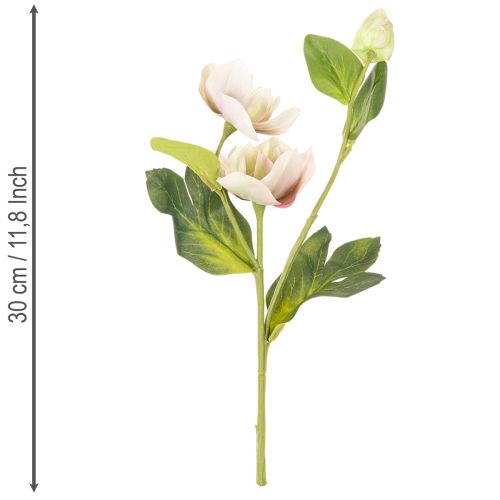 Christrose künstliche Blumen aus Seidenstoff, 30 cm, 4 Stiele, rosa und grün | Floristik21.de