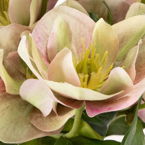 Christrose künstliche Blumen aus Seidenstoff, 30 cm, 4 Stiele, rosa und grün | Floristik21.de