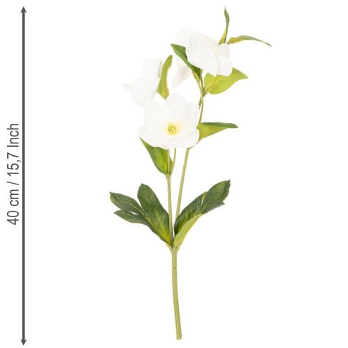 Christrose Kunstblumen Bund Weiß 40 cm 4 Stiele | Floristik21.de