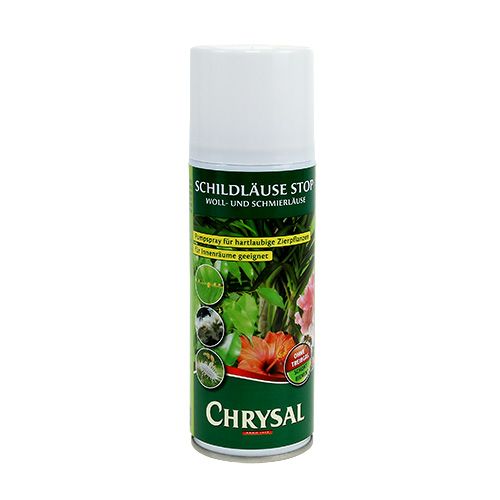 Floristik21 Chrysal Schildläuse STOP 250ml