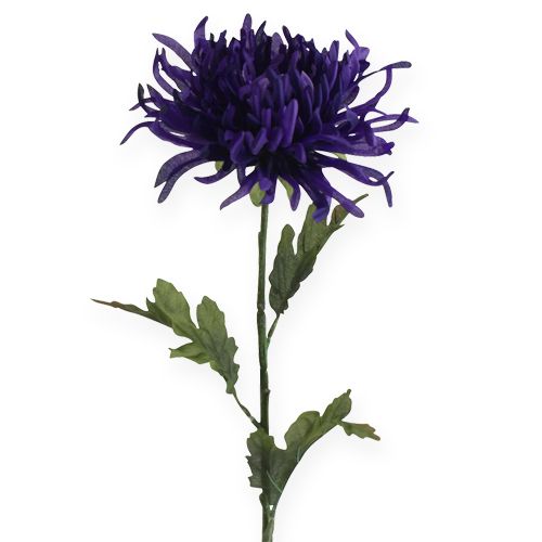 Floristik21 Chrysantheme Lila 74cm