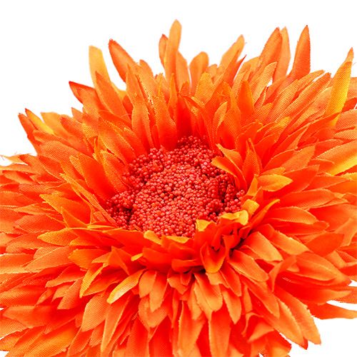 Floristik21 Chrysantheme Teddy 63cm Orange