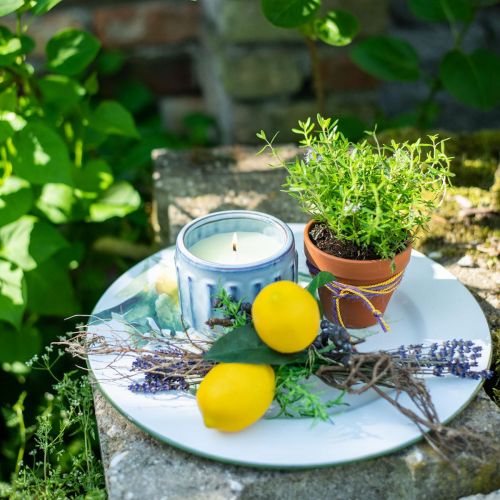 Floristik21 Citronella Kerze im Topf Duftkerze Zitrone Ø10,5cm H8cm