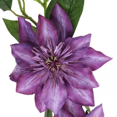 Floristik21 Künstliche Clematis, Seidenblume, Dekozweig mit Clematisblüten Violett L84cm