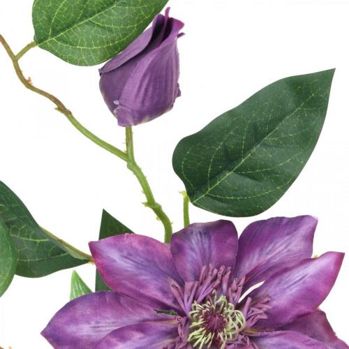 Floristik21 Künstliche Clematis, Seidenblume, Dekozweig mit Clematisblüten Violett L84cm