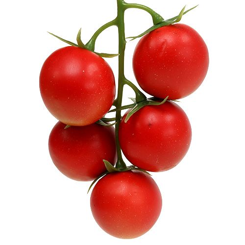 Floristik21 Cocktailtomaten Rispe Rot 21cm