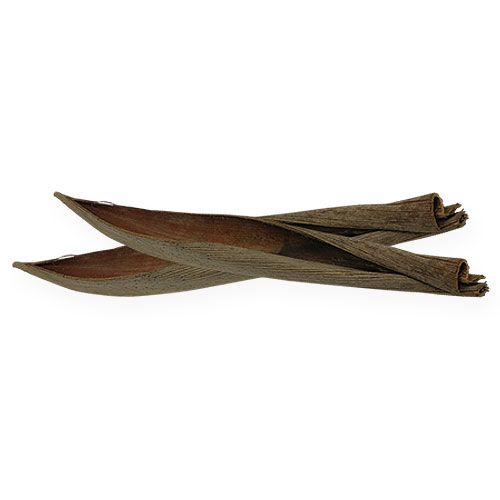 Floristik21 Cocosschalen Natur 60cm 5 St