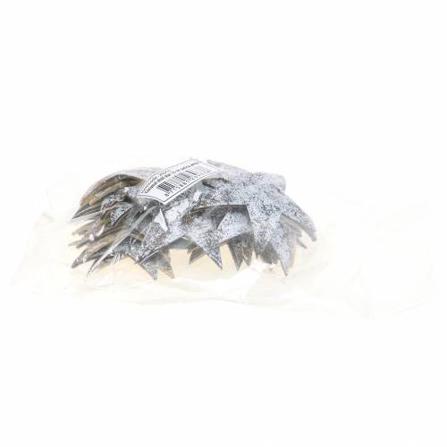 Artikel Kokos Stern Weiß gewaschen 10cm 20 St