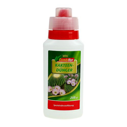 Floristik21 Combiflor Kakteendünger 250ml