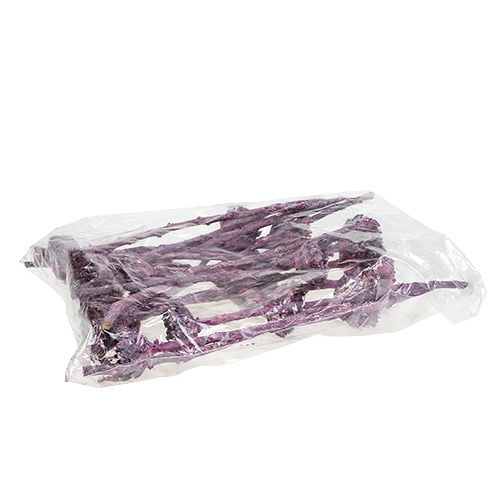 Artikel Compacta Rosette Brombeer gefrostet 20St