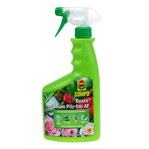 Floristik21 Compo Duaxo Rosen Pilzfrei AF Fungizid 750ml