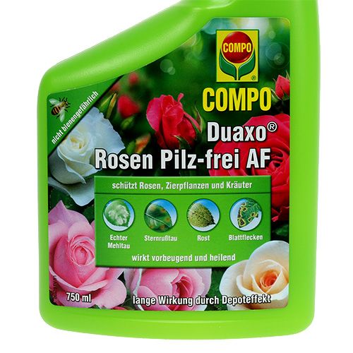 Compo Duaxo Rosen Pilzfrei AF Fungizid 750ml