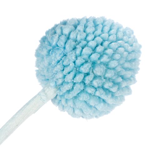 Artikel Craspedia Trockenblumen 55cm Deko für Vase Innenbereich 20 Stück