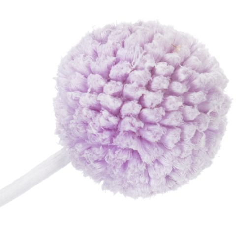 Artikel Craspedia Trockenblumen 55cm 20 Stiele für Tischdekoration Innenbereich