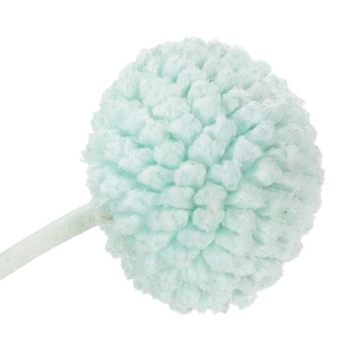 Artikel Trockenblumen Craspedia Bund 55cm für Innenraumdekoration