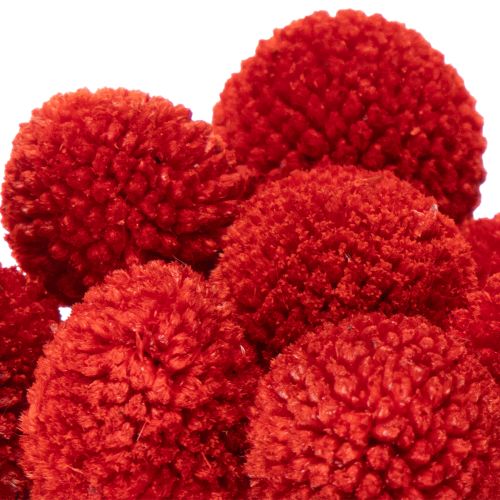 Trockenblumen Craspedia Rot, 55 cm, 20 Stiele, gefärbt | Floristik21.de