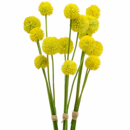 Floristik21 Trommelschlägel Craspedia Gelb Künstliche Gartenblume Seidenblumen 15St