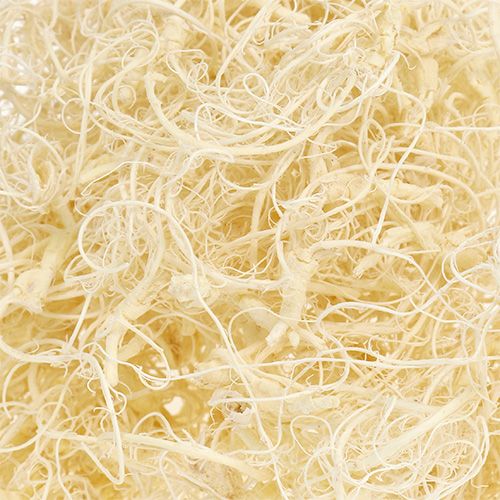 Floristik21 Curly Moos gebleicht 350g