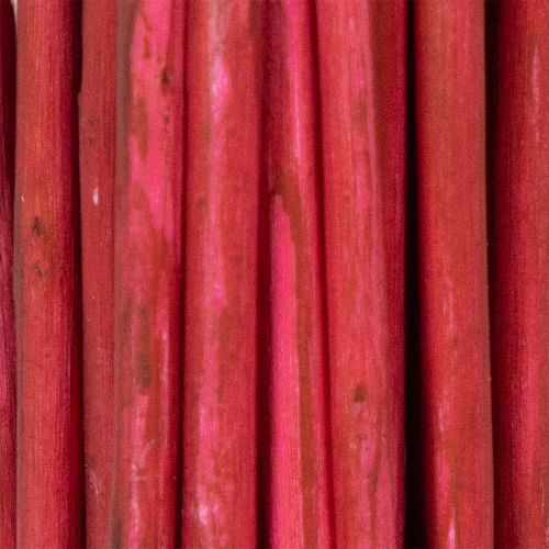 Artikel Getrockneter Korkenzieherweiden-Zweig 80cm für Floristik und Dekoration