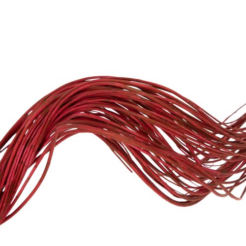 Artikel Getrockneter Korkenzieherweiden-Zweig 80cm für Floristik und Dekoration