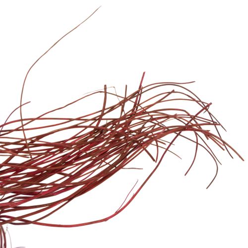 Artikel Getrockneter Korkenzieherweiden-Zweig 80cm für Floristik und Dekoration