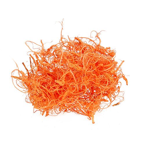 Floristik21 Curly Moos Orange 350g