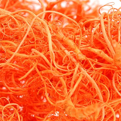 Floristik21 Curly Moos Orange 350g