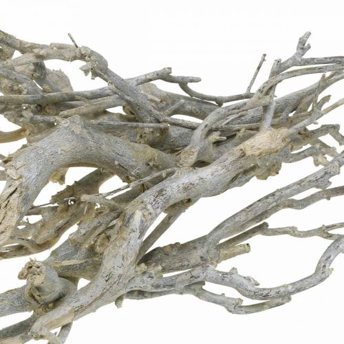 Dekozweige Currybusch, Weihnachtsdeko, Advent, Naturdeko Golden, Weiß gewaschen L25–30cm 500g